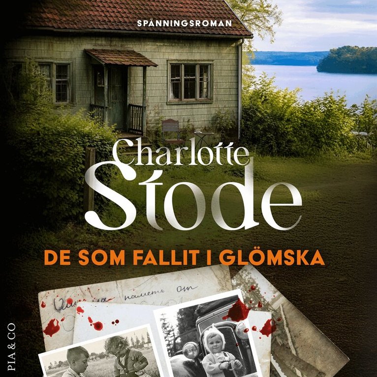 Charlotte Stode - De som fallit i glömska, Ljudbok
