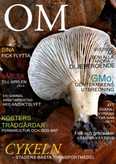 Eva Pettersson - OM omställning - Nr 1 2013 : Magasinet om ett grönare liv, E-bok