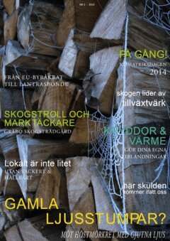 Eva Pettersson - OM omställning - Nr 2 2013 : Magasinet om ett grönare liv, E-bok