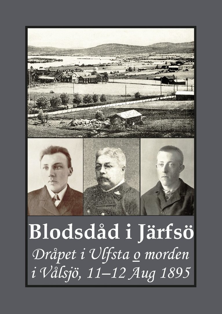 Gunnar Bergman - Blodsdåd i Järfsö : dråpet i Ulfsta och morden i Vålsjö, 11–12 Aug 1895, Häftad