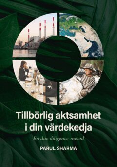 Parul Sharma - Tillbörlig aktsamhet i din värdekedja : En due-diligence metod, E-bok