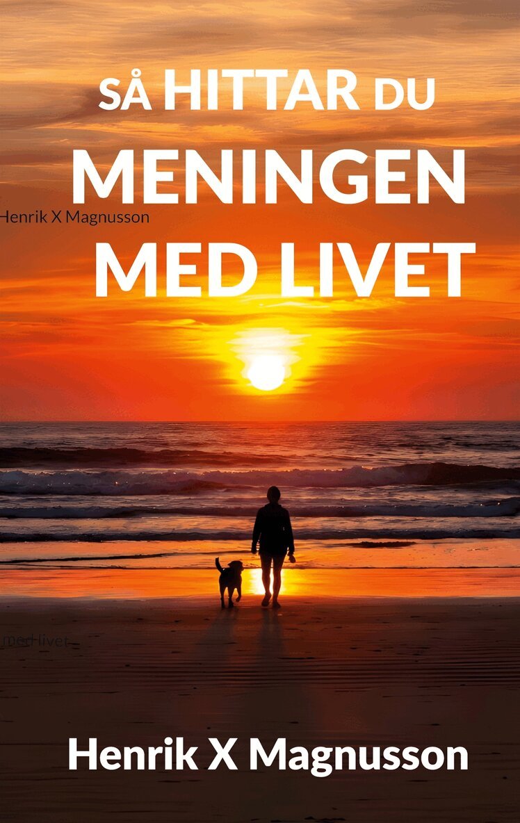 Henrik X Magnusson - Så hittar du meningen med livet: Din guide i tillvaron, E-bok