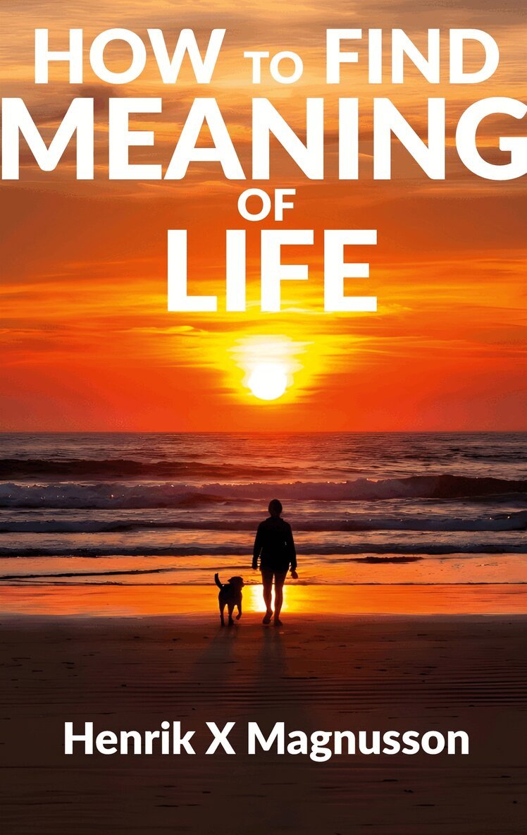 Henrik X Magnusson - How to Find Meaning of Life: Your guide to life, E-bok