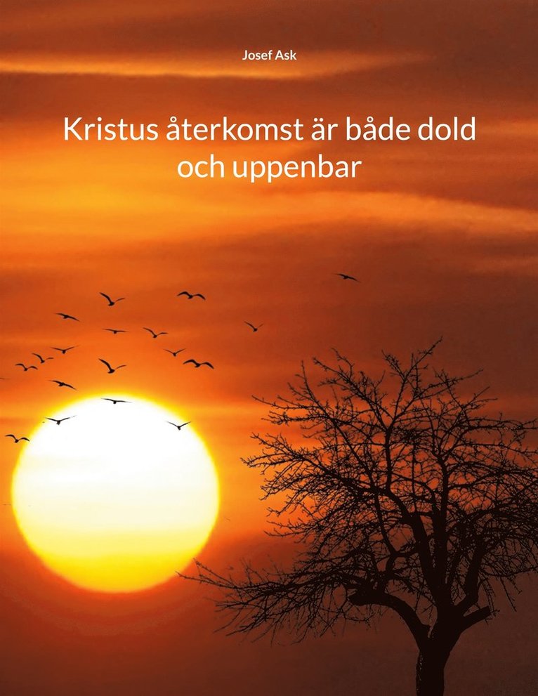Josef Ask - Kristus återkomst är både dold och uppenbar, E-bok