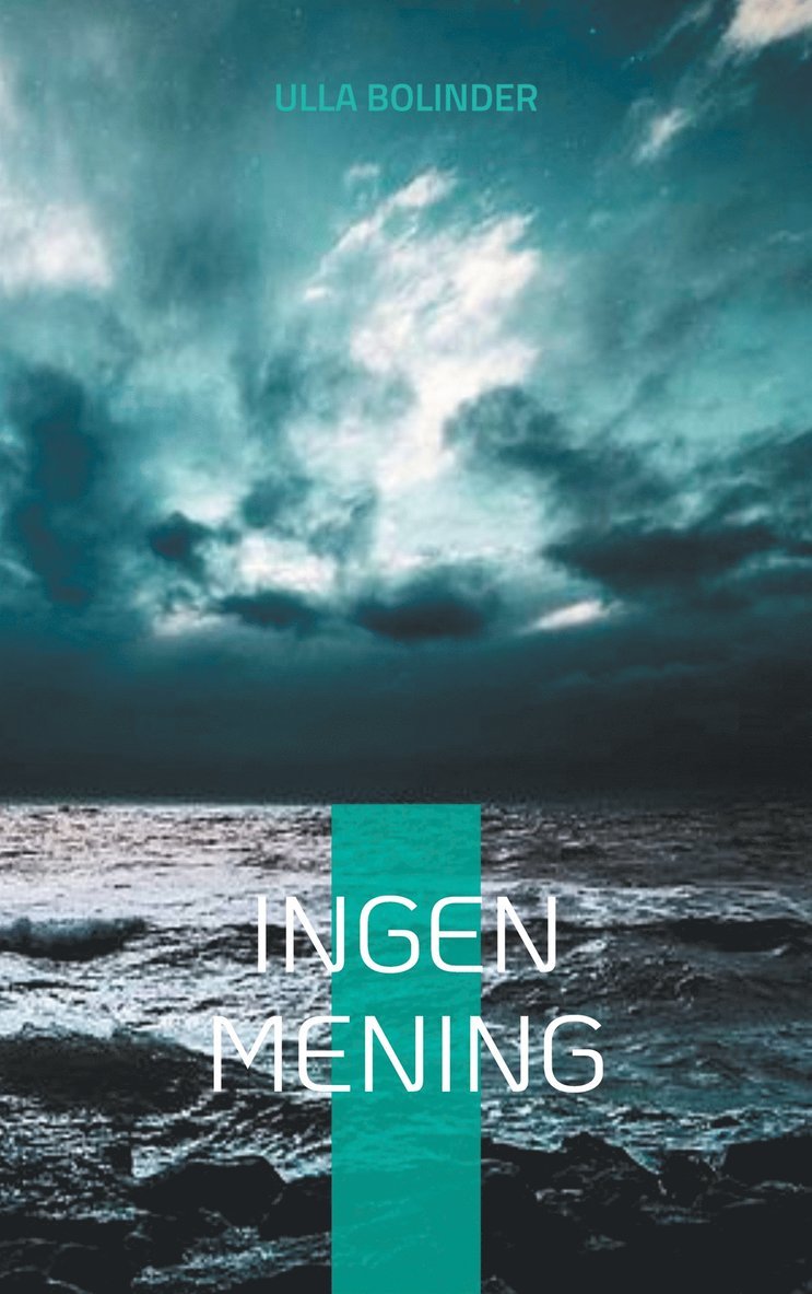 Ulla Bolinder - Ingen mening, E-bok