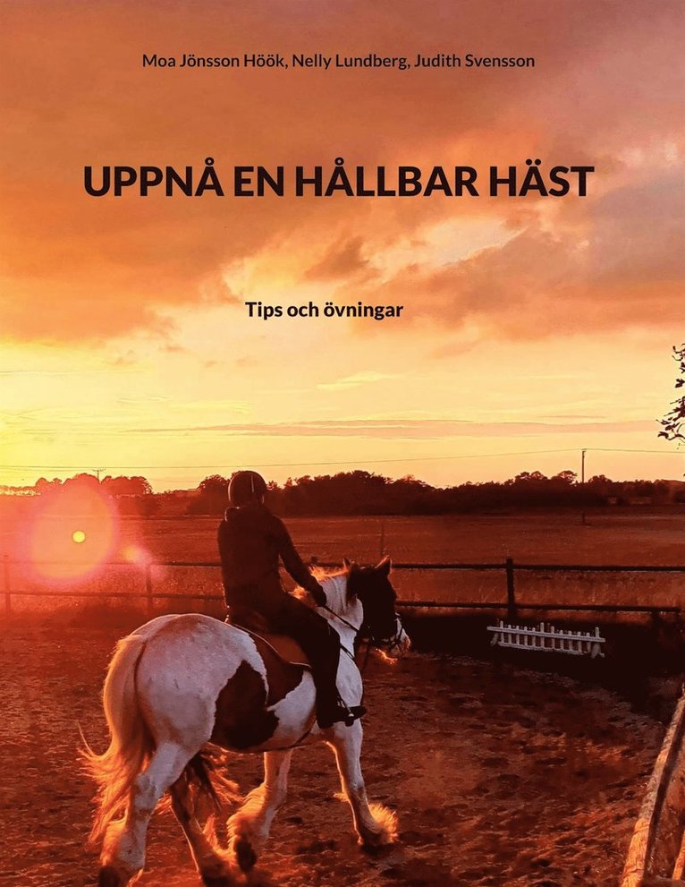 Moa Jönsson Höök, Nelly Lundberg, Judith Svensson - UPPNÅ EN HÅLLBAR HÄST: Tips och övningar, E-bok