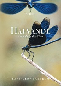 Hafvande : dom djupa direktiven