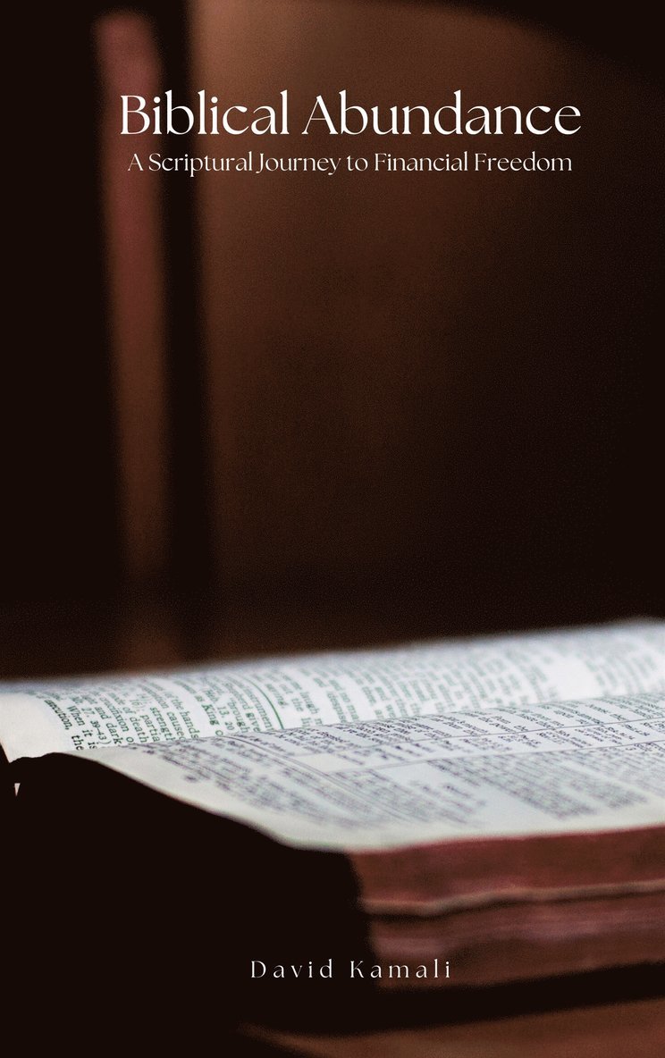 David Kamali - Biblical Abundance: A Scriptural Journey to Financial Freedom, E-bok