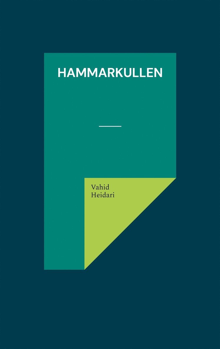 Vahid Heidari - Hammarkullen: Vahid Heidari, E-bok