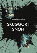 Skuggor i Snön: En hemlös mans väg från mörkret till ljuset