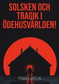 Solsken och tragik i dehusvrlden!: Nrke, stra Vrmland och Vstra Vstmanland