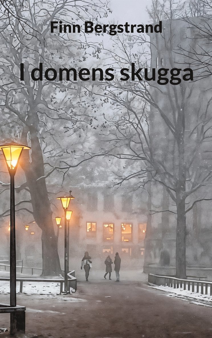 Finn Bergstrand - I domens skugga, E-bok