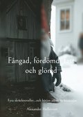 Fngad, frdmd, fast och glmd: Fyra skrcknoveller...och brjan p en ny berttelse