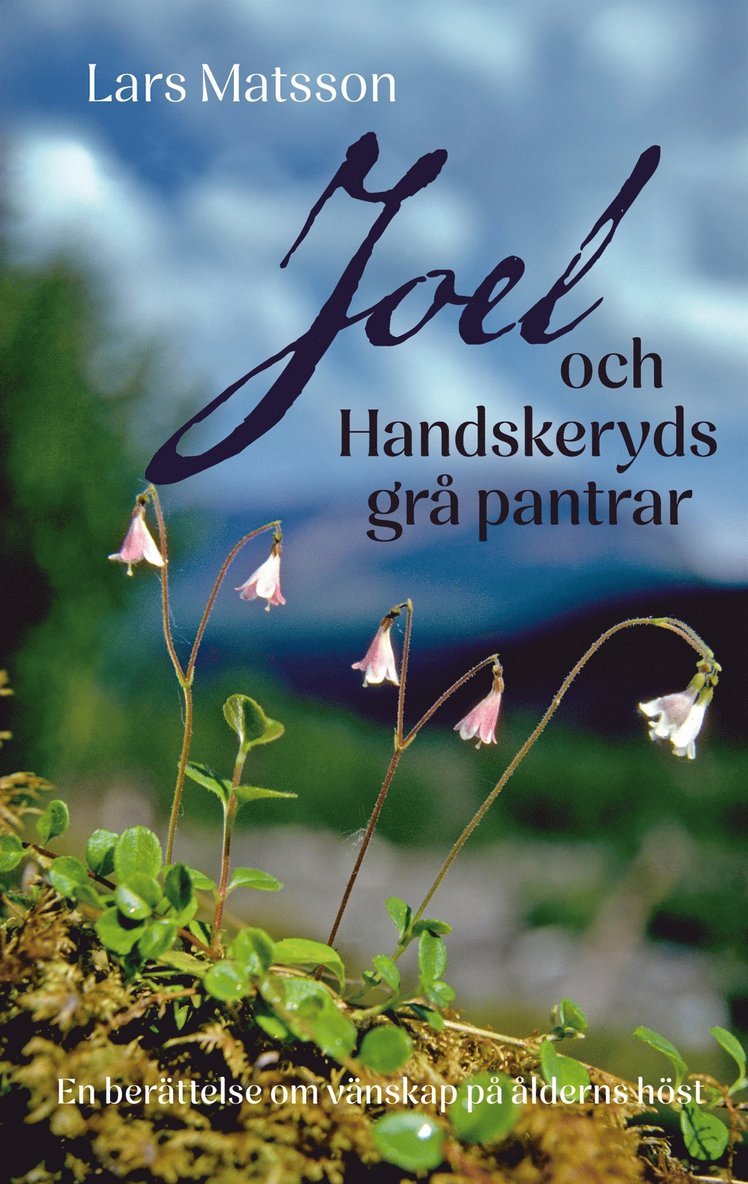 Lars Matsson - Joel och Handskeryds grå pantrar: En berättelse om vänskap på ålderns höst, E-bok