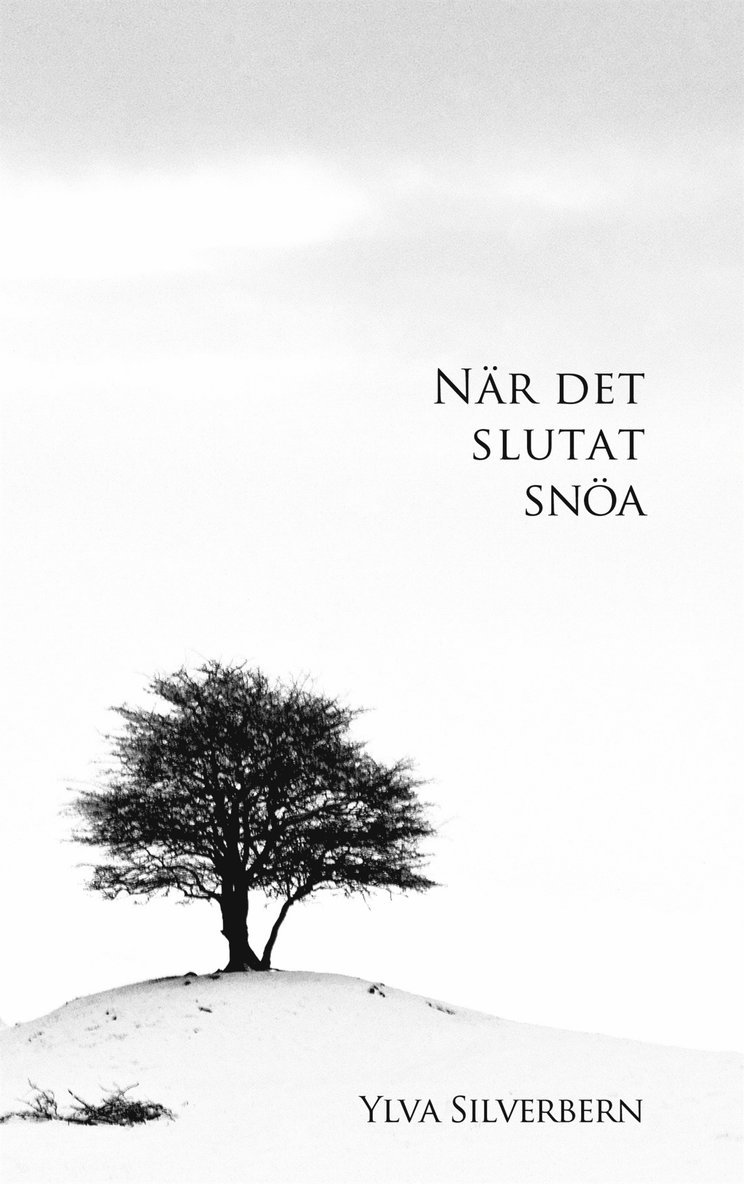 Ylva Silverbern - När det slutat snöa, E-bok