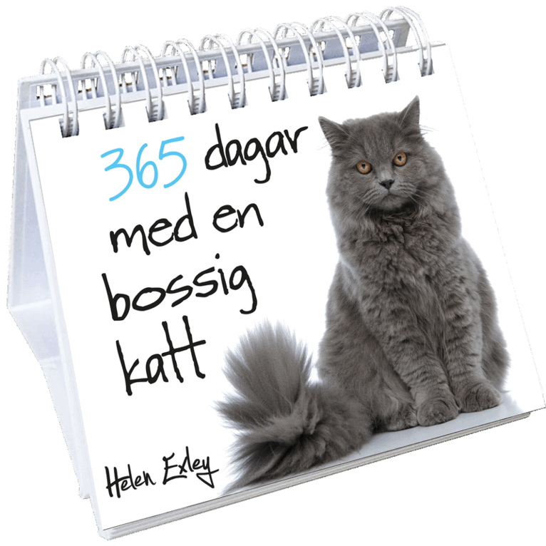 Pam Brown - 365 dagar med en bossig katt, Övrigt