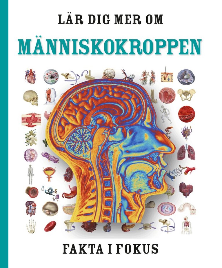 Lär dig mer om människokroppen, Inbunden. Tillgänglighet: Kommande