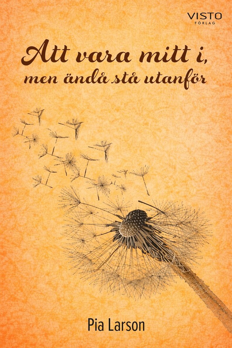 Pia Larson - Att vara mitt i, men ändå stå utanför, E-bok