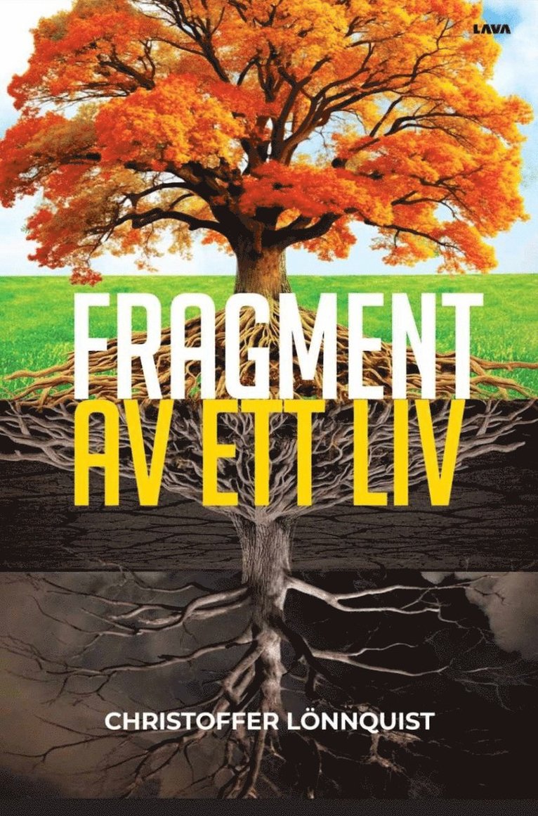 Christoffer Lönnquist - Fragment av ett liv, E-bok