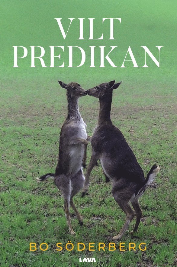 Bo Söderberg - Viltpredikan, E-bok