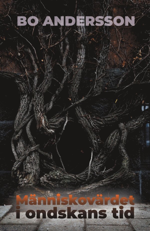 Bo Andersson - Människovärdet i ondskans tid, E-bok