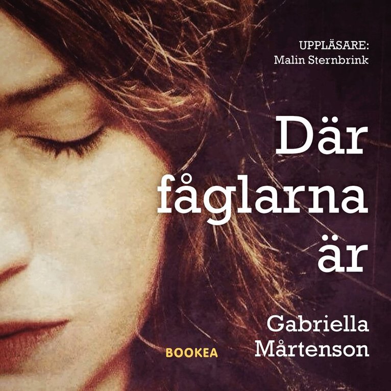 Gabriella Mårtenson - Där fåglarna är, Ljudbok