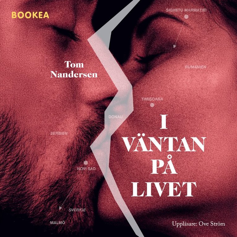 Tom Nandersen - I väntan på livet, Ljudbok