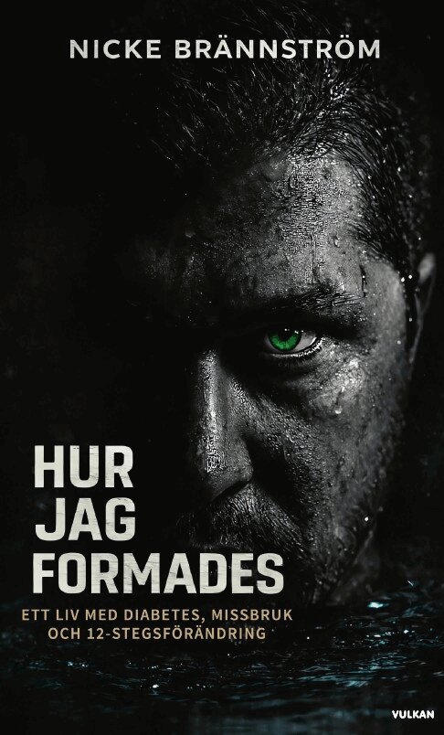 Nicke Brännström - Hur jag formades : ett liv med diabetes, missbruk och 12-stegsförändring, E-bok