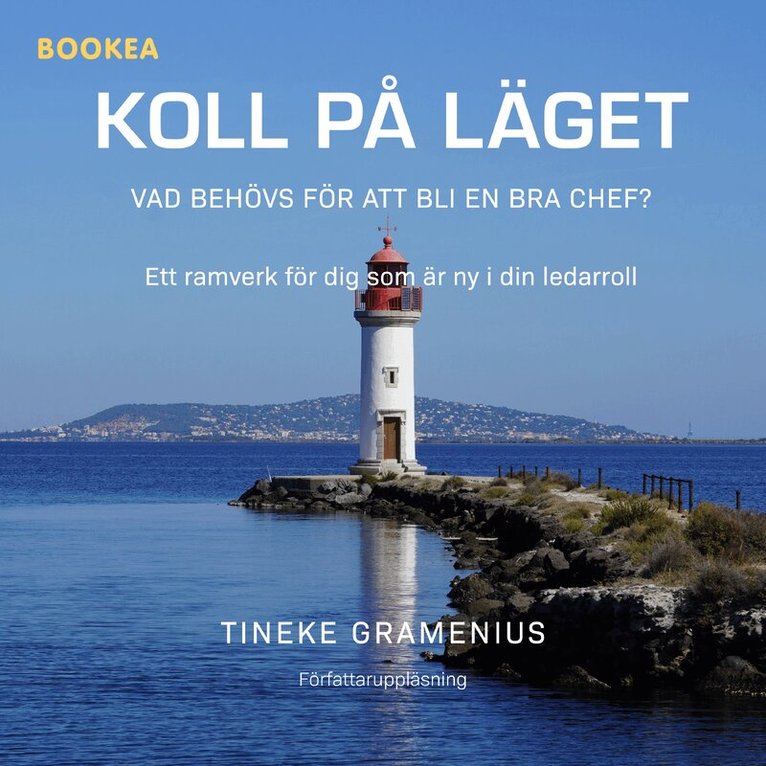 Tineke Gramenius - Koll på läget : vad behövs för att bli en bra chef?, Ljudbok