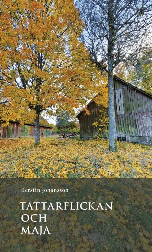 Kerstin Johansson - Tattarflickan och Maja, E-bok