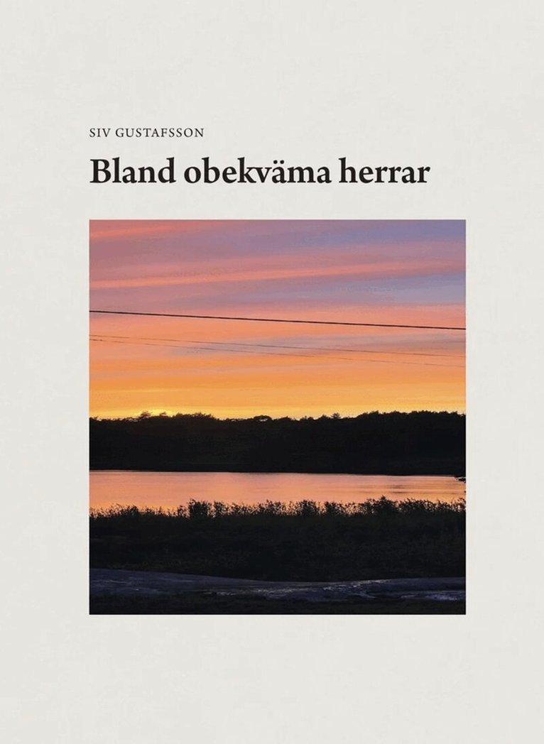 Siv Gustafsson - Bland obekväma herrar, E-bok