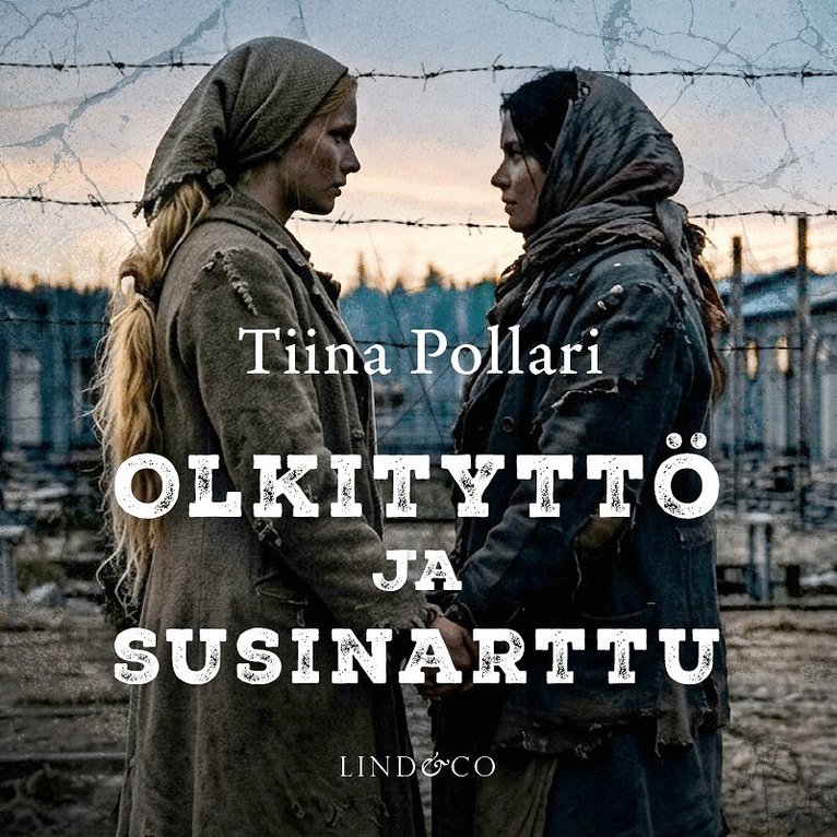 Tiina Pollari - Olkityttö ja susinarttu, Ljudbok
