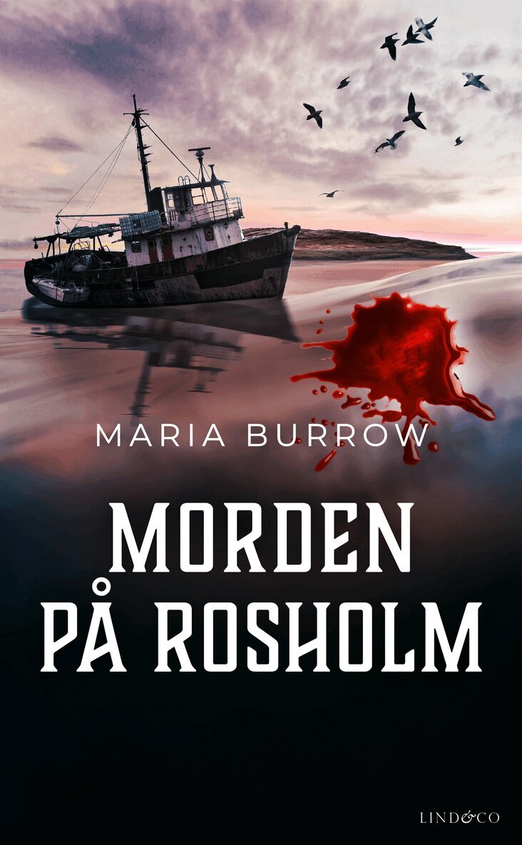 Maria Burrow - Morden på Rosholm, E-bok