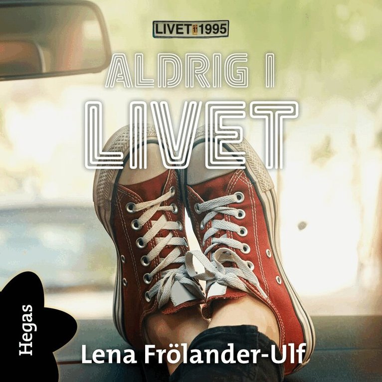 Lena Frölander-Ulf - Aldrig i livet, Ljudbok