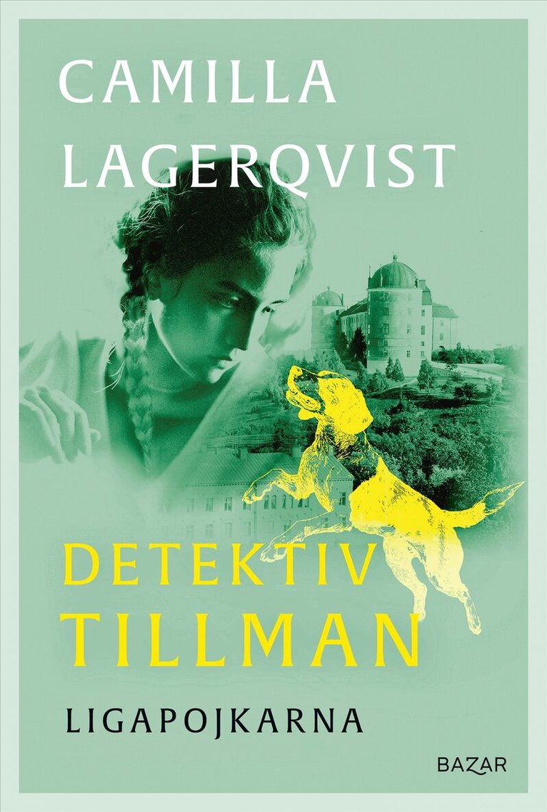 Camilla Lagerqvist - Ligapojkarna, E-bok
