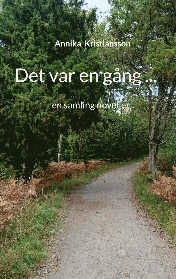 Annika Kristiansson - Det var en gång ...: en samling noveller, E-bok. Tillgänglighet: Lägg i varukorg