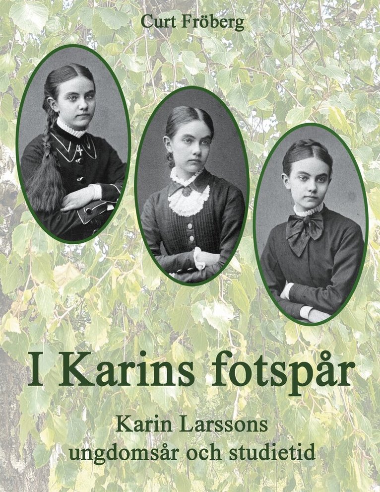 Curt Fröberg - I Karins fotspår: Karin Larssons ungdomsår och studietid, E-bok