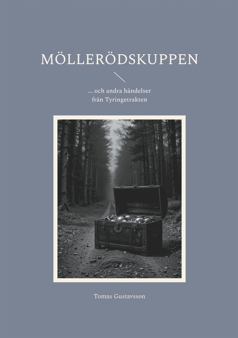 Tomas Gustavsson - Möllerödskuppen: ... och andra händelser från Tyringetrakten, E-bok