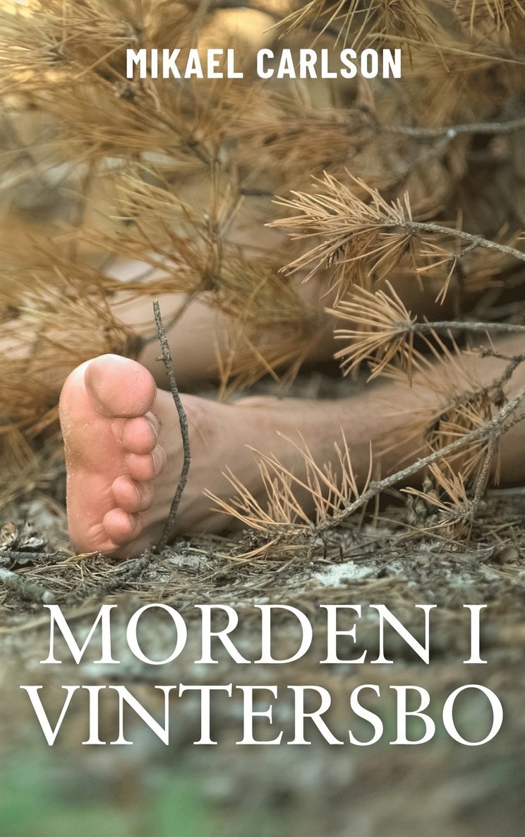 Mikael Carlson - Morden i Vintersbo, E-bok