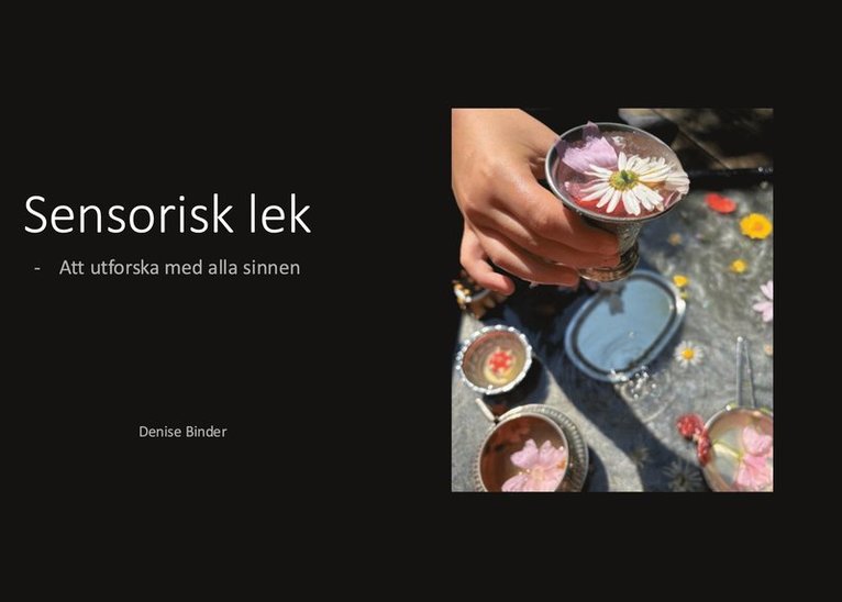 Denise Binder - Sensorisk lek: Att utforska med alla sinnen, E-bok