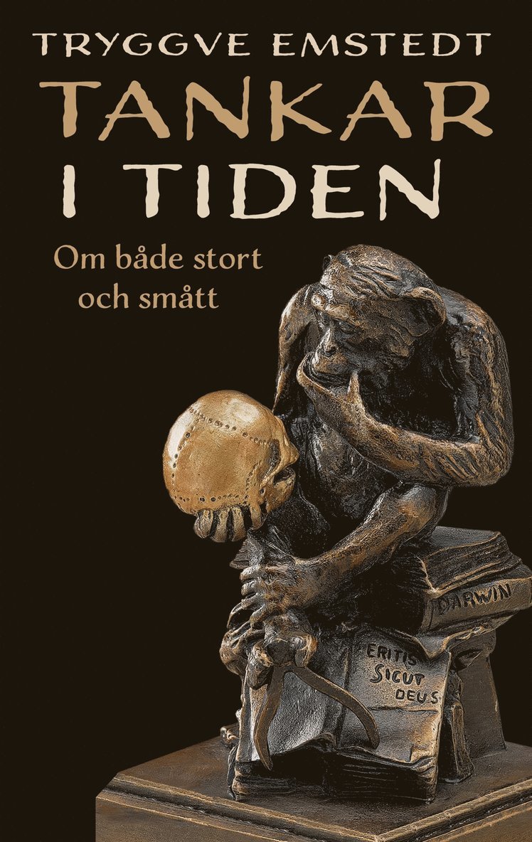 Tryggve Emstedt - Tankar i Tiden: Om både stort och smått, E-bok