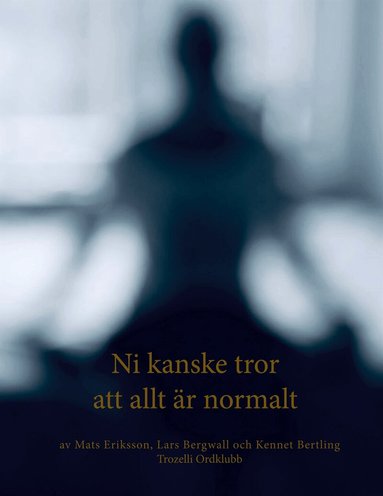 Mats Eriksson, Lars Bergwall, Kennet Bertling - Ni kanske tror att allt är normalt, E-bok