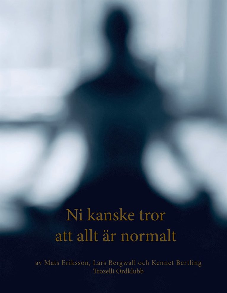 Mats Eriksson, Lars Bergwall, Kennet Bertling - Ni kanske tror att allt är normalt, E-bok