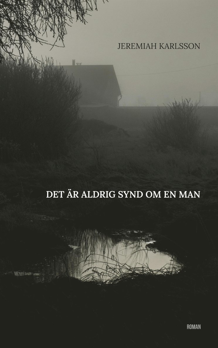 Jeremiah Karlsson - Det är aldrig synd om en man, E-bok