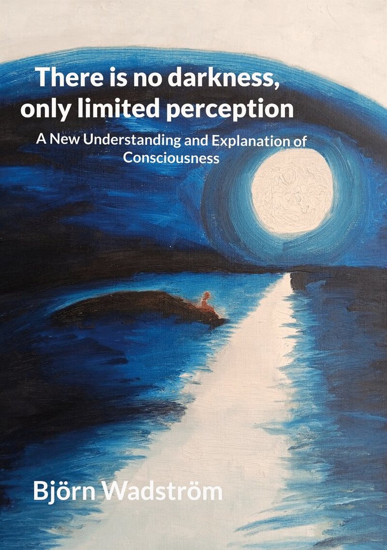 Björn Wadström - There is no darkness, only limited perception: A New Understanding and Explanation of Consciousness, E-bok