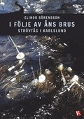 I f�lje av �ns brus : str�vt�g i Karlslund