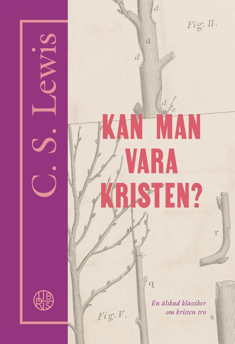 C. S. Lewis - Kan man vara kristen?, E-bok