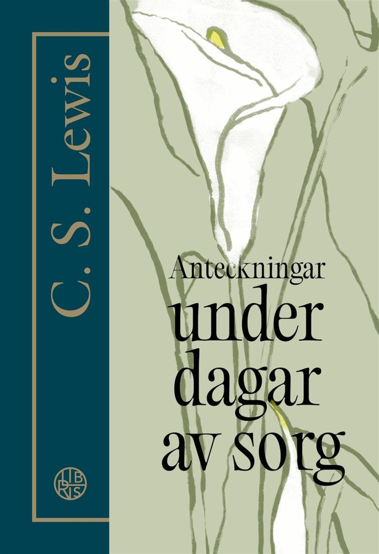 C. S. Lewis - Anteckningar under dagar av sorg, E-bok