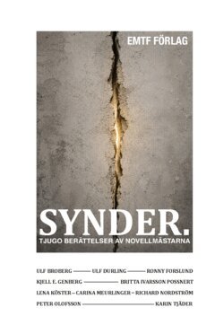 Britta Ivarsson Possnert, Karin Tjäder, Kjell E. Genberg, Richard Nordström, Peter Olofsson, Carina Meurlinger, Lena Köster, Ronny Forslund, Ulf Durling, Ulf Broberg - Synder : Tjugo berättelser av Novellmästarna, Häftad
