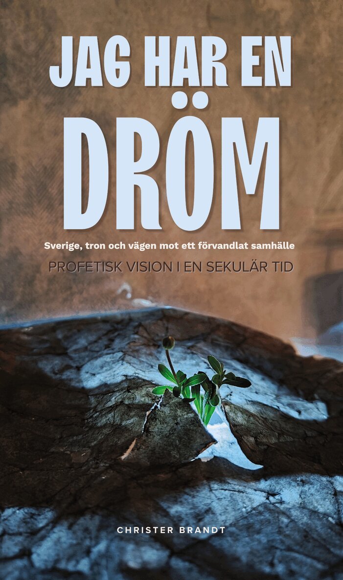 Christer Brandt - Jag har en dröm : profetisk vision i en sekulär tid, Häftad
